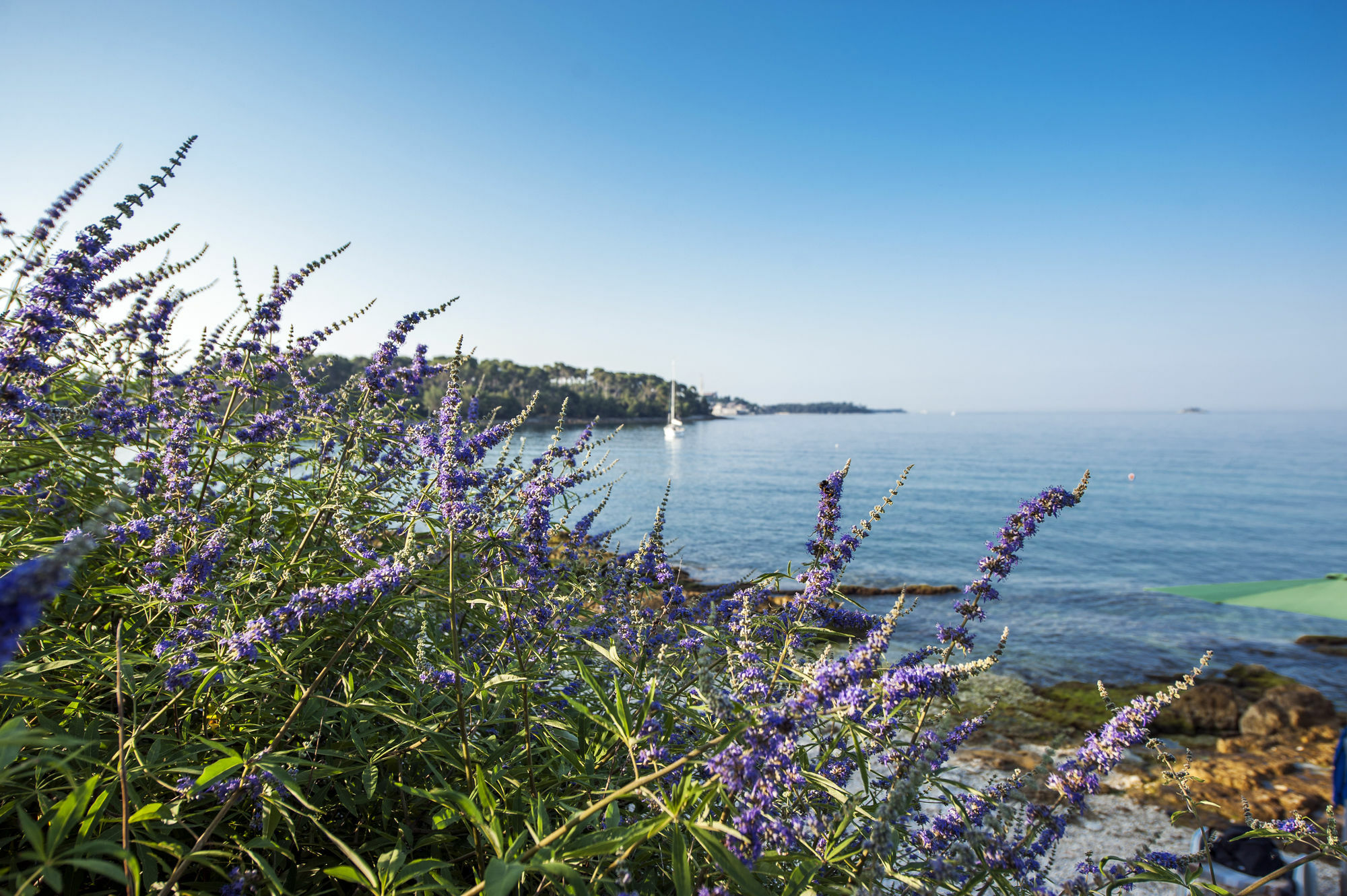Apartments Villa Borik Rovinj Exterior photo